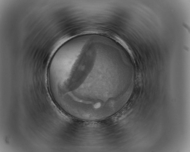 X0000091290811200708241027