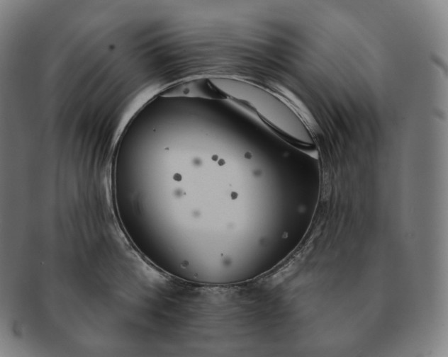 X0000091290812200708241027