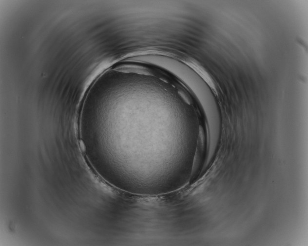 X0000091290813200708241027