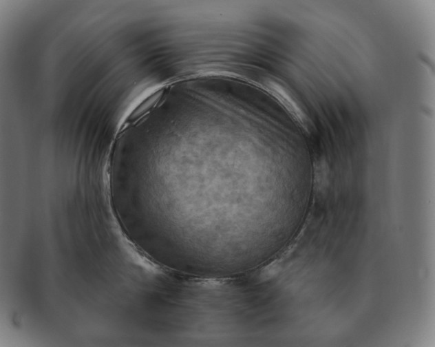 X0000091290814200708241027