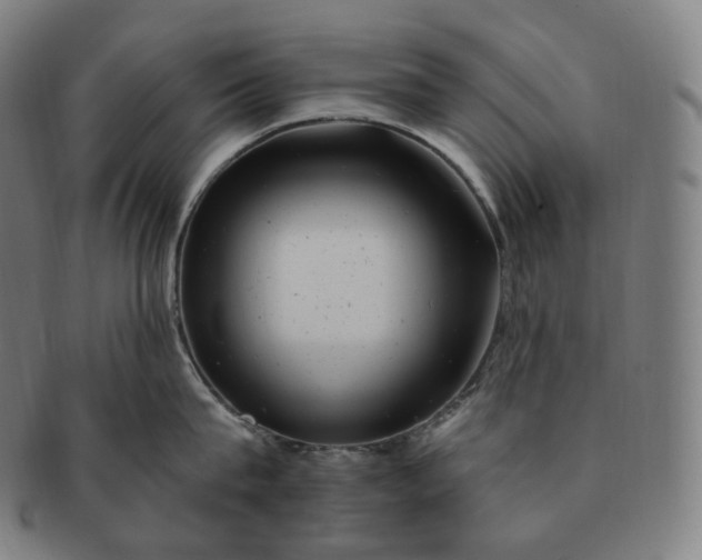 X0000091290815200708241027