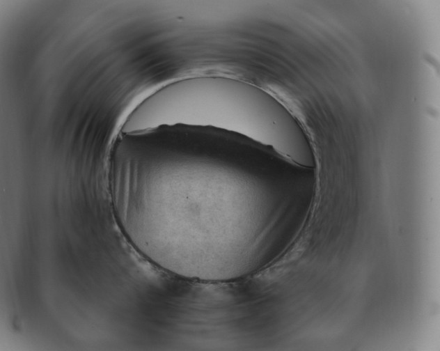 X0000091290816200708241027