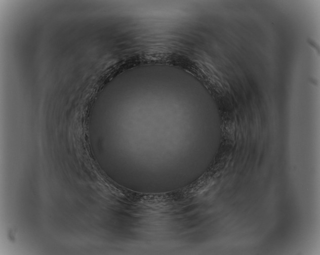 X0000091290817200708241027