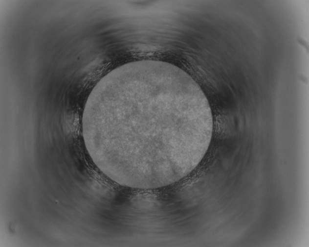 X0000091290820200708241027