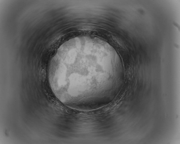 X0000091290821200708241027