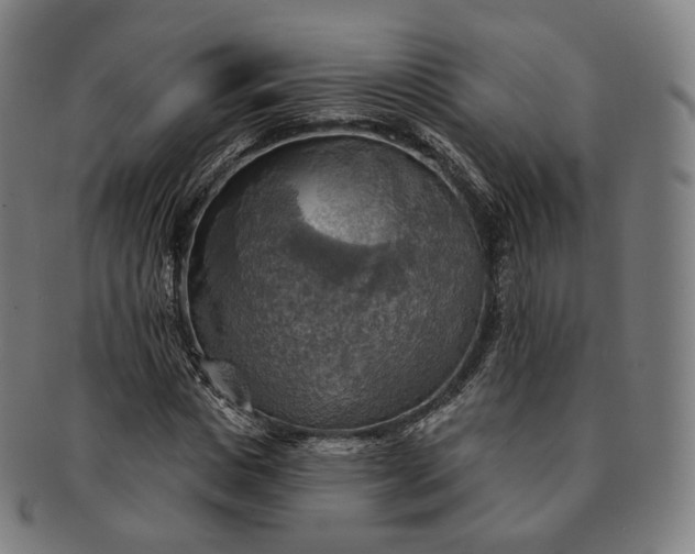 X0000091290825200708241027