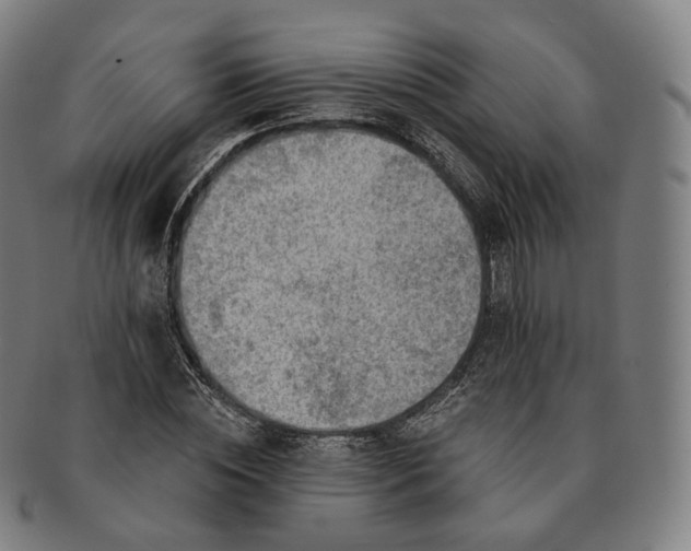 X0000091290828200708241027