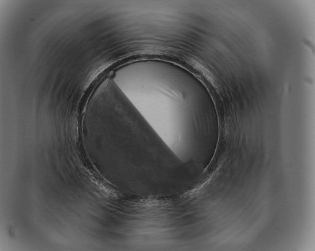 X0000091290829200708241027