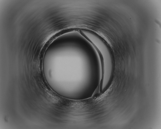 X0000091290830200708241027