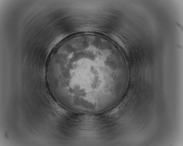 X0000091290831200708241027