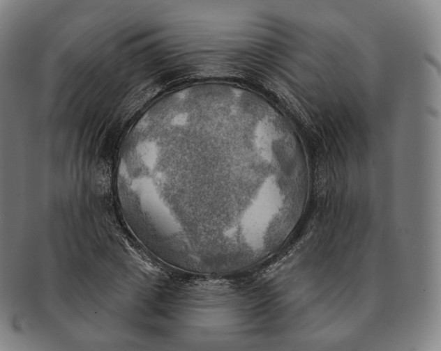 X0000091290833200708241027