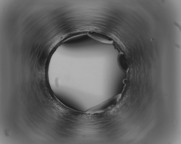 X0000091290834200708241027