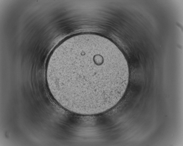 X0000091290836200708241027