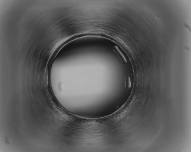 X0000091290838200708241027