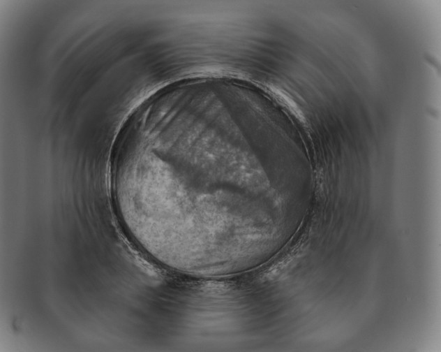 X0000091290839200708241027