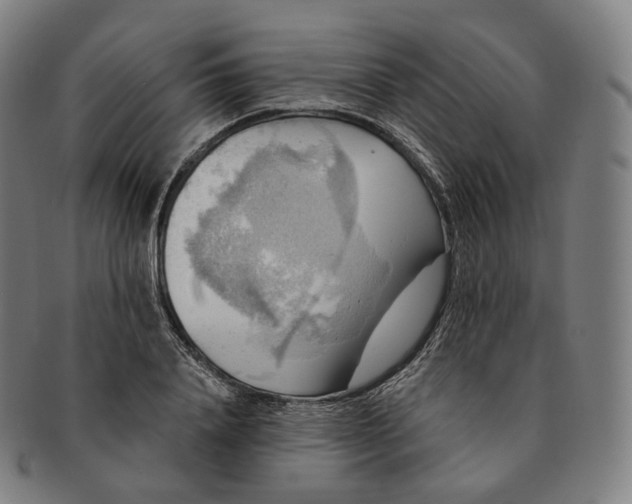 X0000091290840200708241027