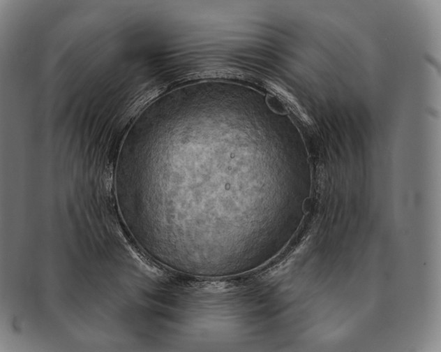 X0000091290841200708241027