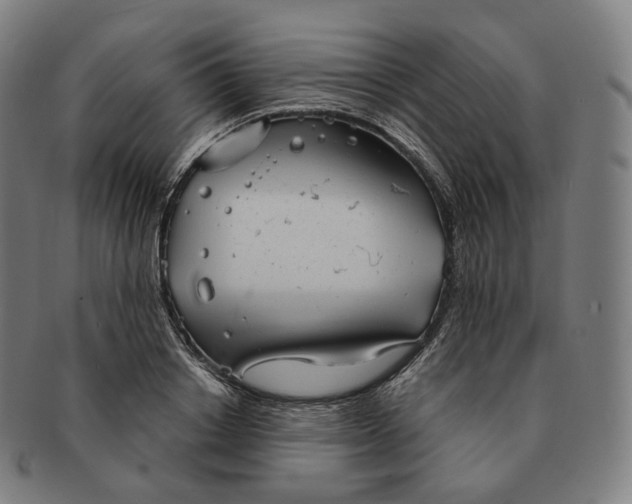 X0000091290842200708241027