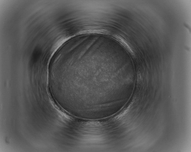 X0000091290844200708241027