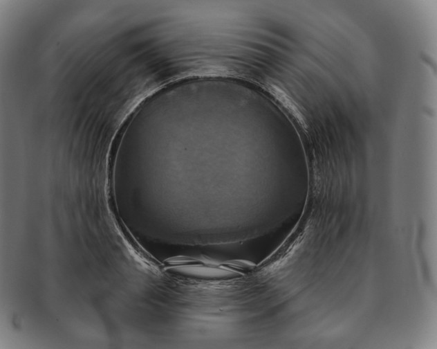 X0000091290845200708241027