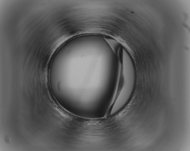 X0000091290846200708241027