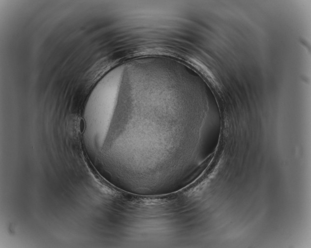 X0000091290849200708241027