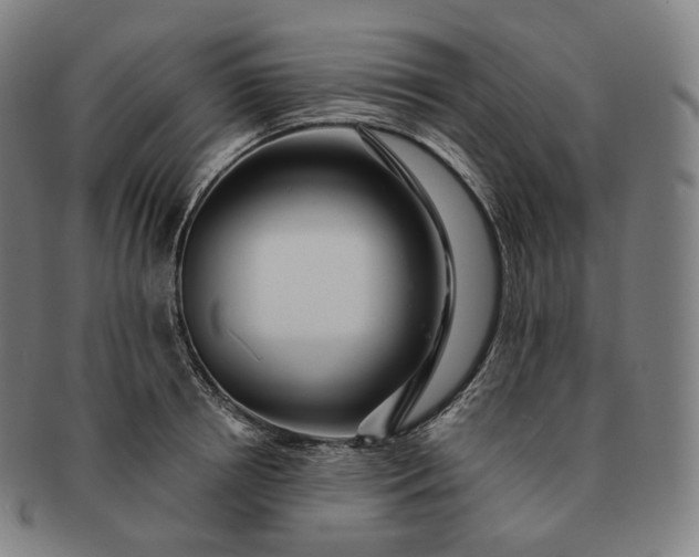 X0000091290850200708241027