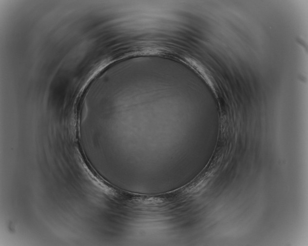 X0000091290851200708241027