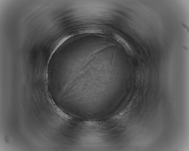 X0000091290852200708241027