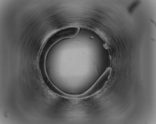 X0000091290854200708241027