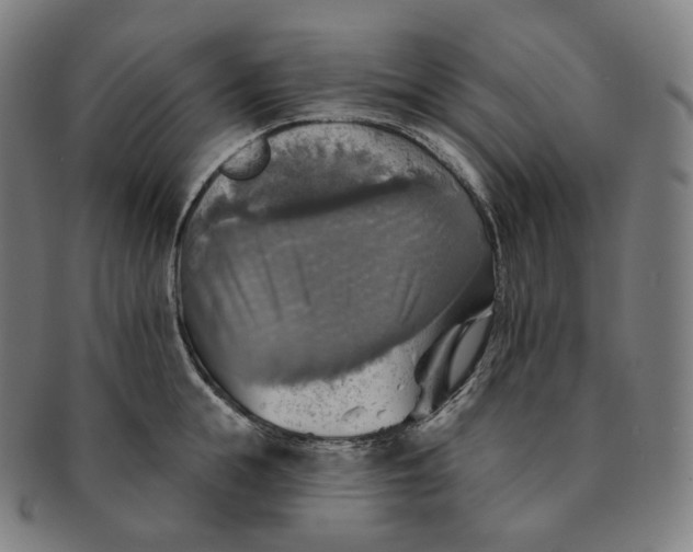 X0000091290855200708241027