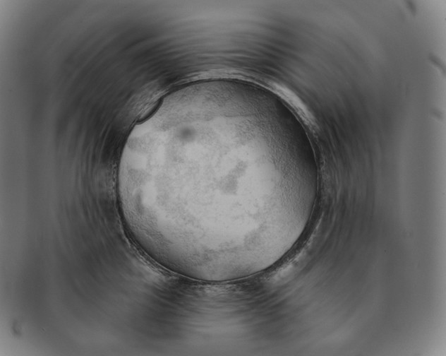 X0000091290857200708241027