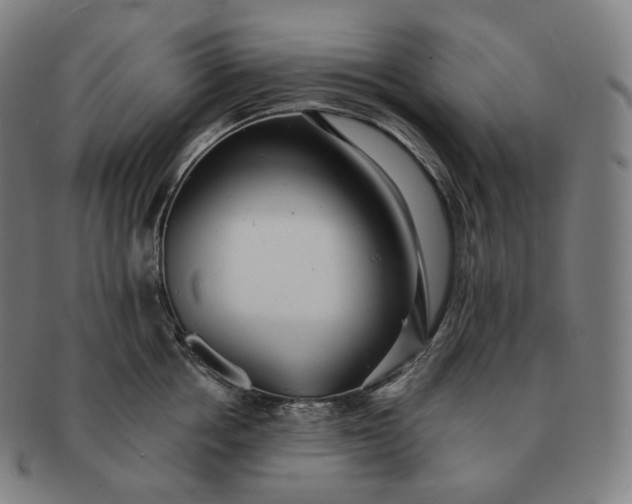 X0000091290858200708241027