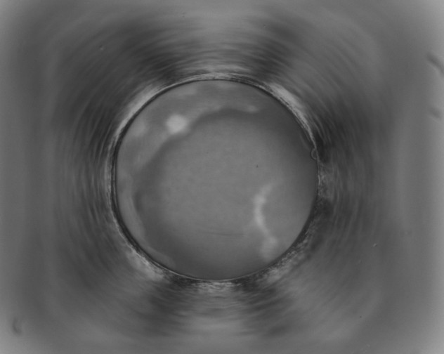 X0000091290859200708241027