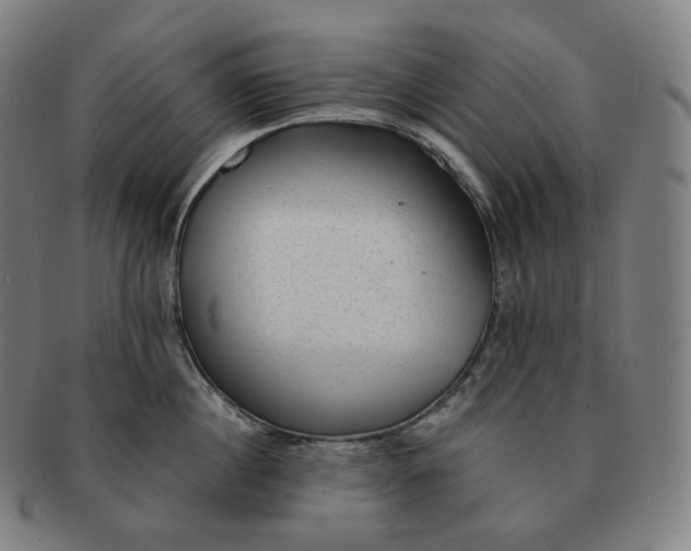 X0000091290860200708241027