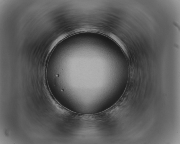 X0000091290861200708241027