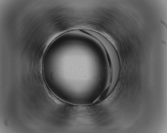 X0000091290862200708241027