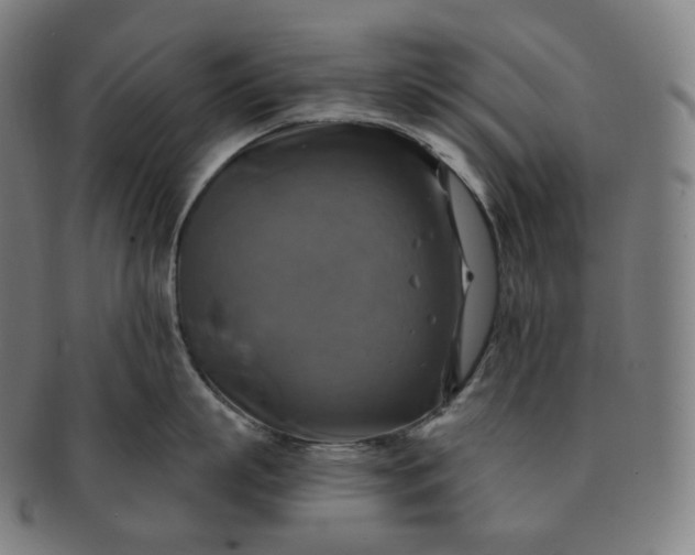 X0000091290863200708241027