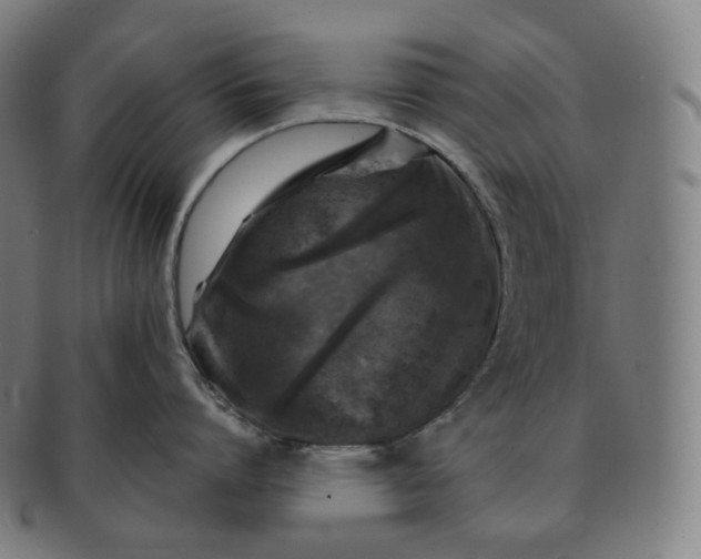 X0000091290864200708241027