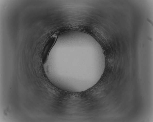 X0000091290865200708241027