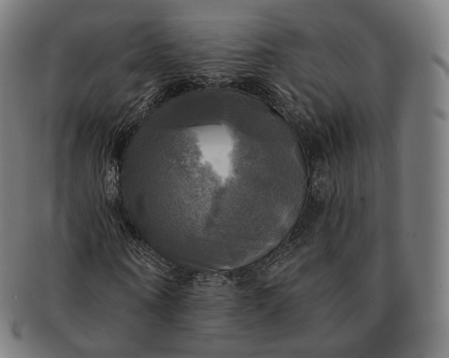 X0000091290866200708241027