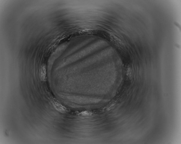 X0000091290868200708241027