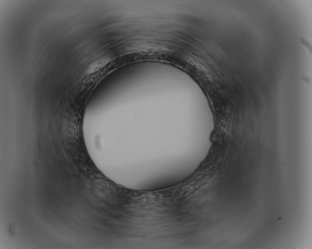 X0000091290869200708241027