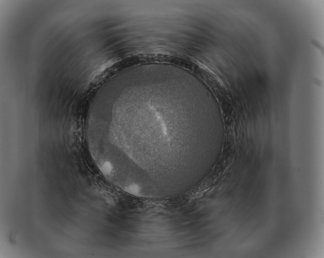 X0000091290870200708241027