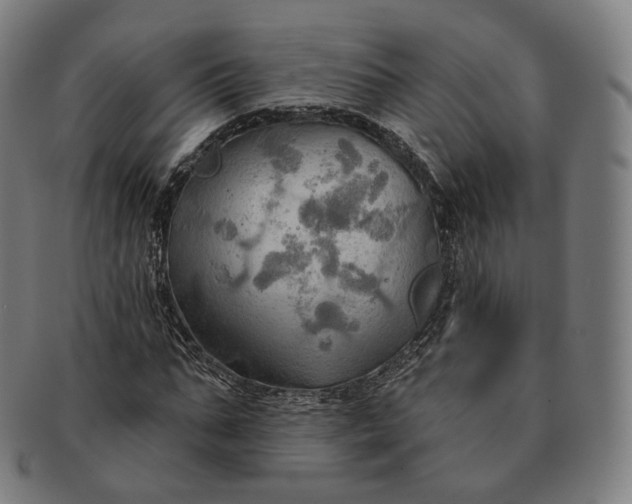 X0000091290871200708241027