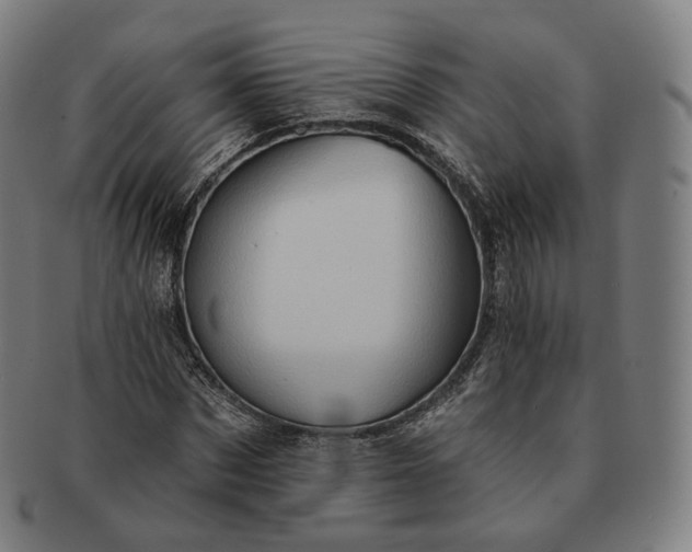 X0000091290873200708241027