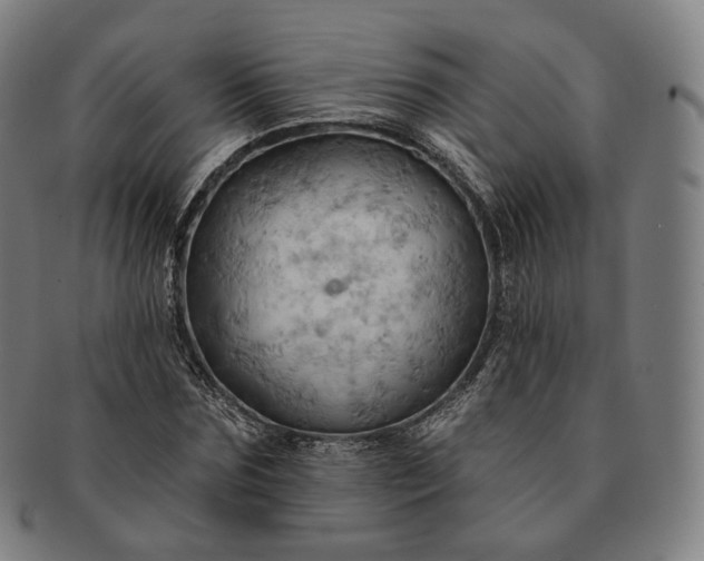 X0000091290875200708241027