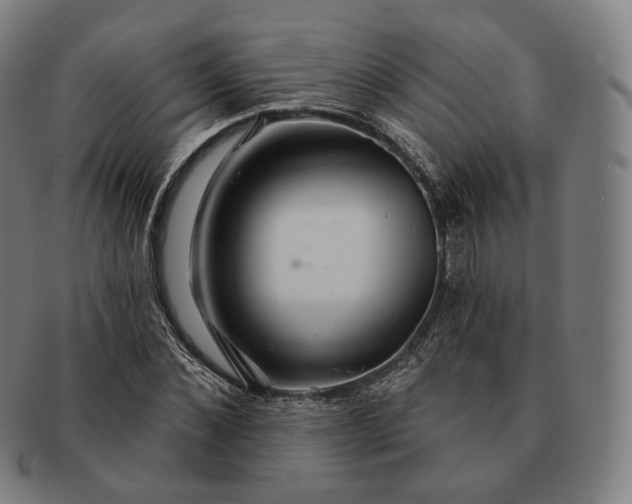 X0000091290876200708241027