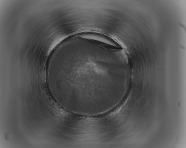 X0000091290877200708241027