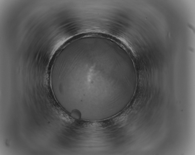 X0000091290879200708241027